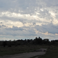 Перед грозой