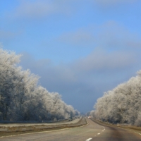 Предновогодняя