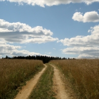 Дорога домой