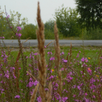 Дорога... без конца...