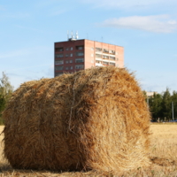 Последний сенокос.