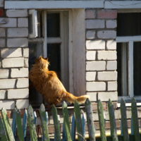 Что там у нас с обедом?