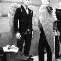 Когда они крылья снимают?