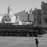 ТОПОЛЬ и сегодня в МОДЕ