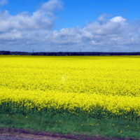 вдоль дороги