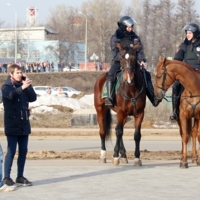 всё смешалось-люди-кони