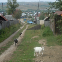 Уральский городок