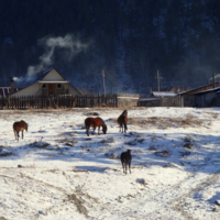 В селе Элекмонар на Алтае