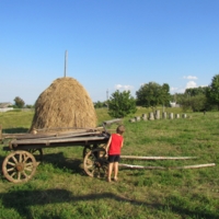 Деревенское лето