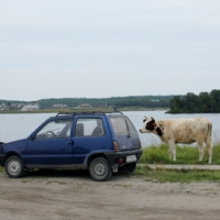 Лето в Простоквашино