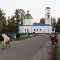 Деревенский экскорт.