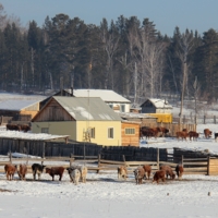 где-то в Забайкальском крае