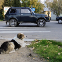 "Лежачий полицейский")