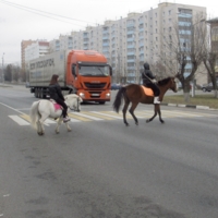 Неравные лошадиные  силы