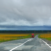 Дождю навстречу