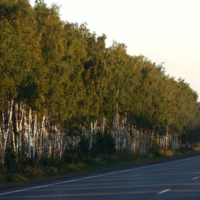 Где-то в конце лета