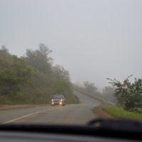 Встреча в тумане...