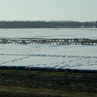 ...следы невиданных зверей...