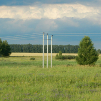 Как "три тополя на Плющихе"