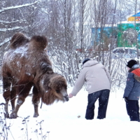 Эх, бедняжка...