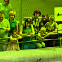 осторожно-опасное животное