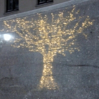 В зазеркалье