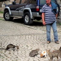 я и вы одной крови)