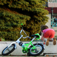 Ку-ку-у? Ты куда делся-то?