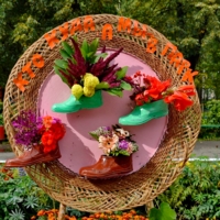 Кто куда, а мы - в парк...