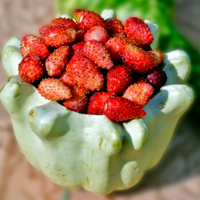 Земляничная ваза