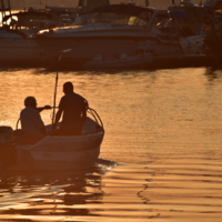 на вечернюю рыбалку