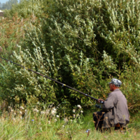 Ловись, ловись , рыбка...