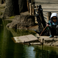 "Надо у папы удочку отнять!!!"