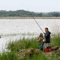 ПРИКОРМленное место)