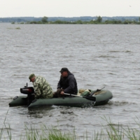 Искра пропала?