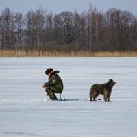 Хороший денёк