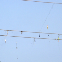 неудачная рыбалка