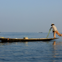 Ловись рыбка большая и маленькая