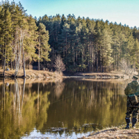 На Сосновке