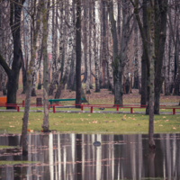 В осеннем парке