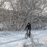 Лето тут не пробегало?