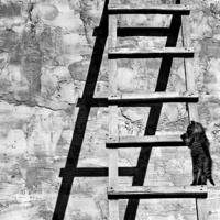 Восьмеричный Путь