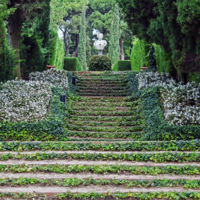 В гостях у Клотильды