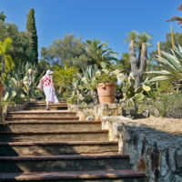 Среди кактусов