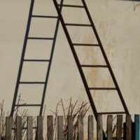 Я и моя тень