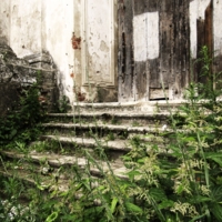 Позарастали..