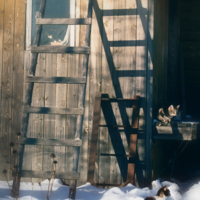 Мартовские причуды