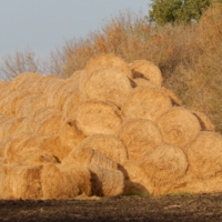 Можно и не считать))))