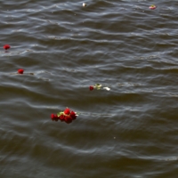 Покидая Волгоград