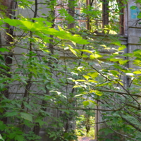 дворянское гнездо